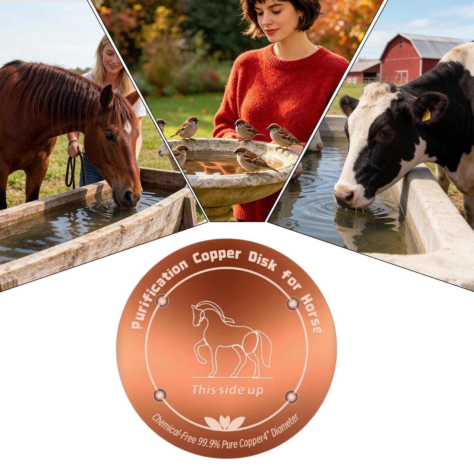 4인치 구리 정수기 소 물통 정화판 구리 디스크, 사계 - Farming & Agriculture Word Stacks 리뷰 및 가격