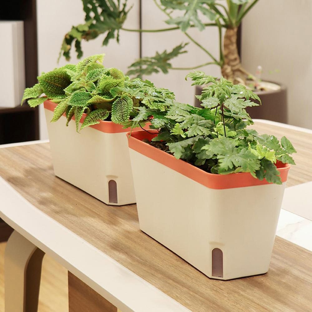 다기능 더블 레이어 화분, 직사각형 실내 꽃 화분 상자 - Vegetable Transplanter 리뷰 및 가격