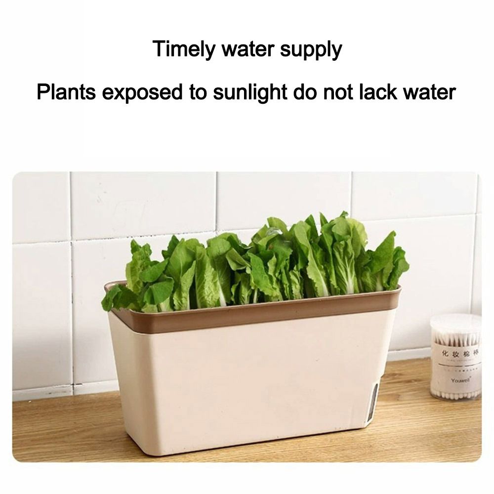 다기능 더블 레이어 화분, 직사각형 실내 꽃 화분 상자 - Vegetable Transplanter 리뷰 및 가격