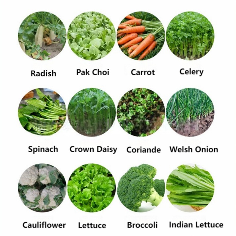 손으로 미는 채소 파종기, 다중 줄 정밀 파종기 (당근 - Vegetable Transplanter 리뷰 및 가격
